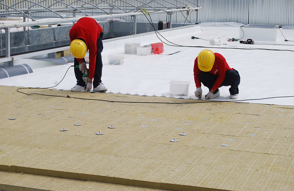 壹号娱乐-NG大舞台-相信品牌的实力