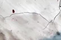 壹号娱乐-NG大舞台-相信品牌的实力