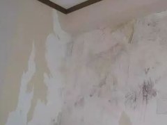 壹号娱乐-NG大舞台-相信品牌的实力