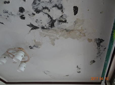 壹号娱乐-NG大舞台-相信品牌的实力