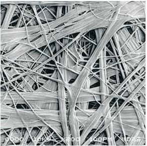 壹号娱乐-NG大舞台-相信品牌的实力