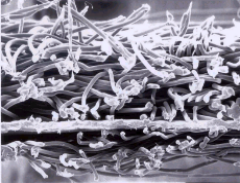 壹号娱乐-NG大舞台-相信品牌的实力