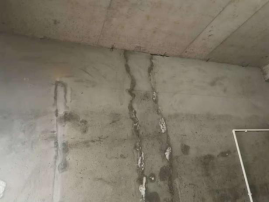 壹号娱乐-NG大舞台-相信品牌的实力