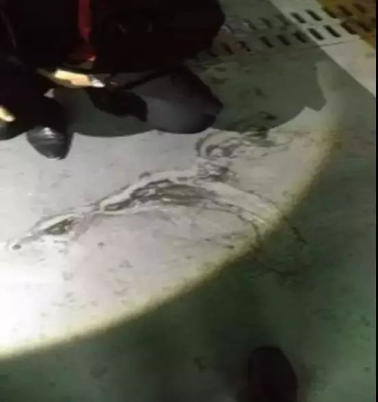 壹号娱乐-NG大舞台-相信品牌的实力