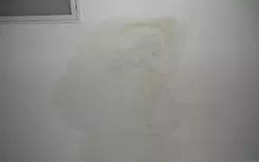 壹号娱乐-NG大舞台-相信品牌的实力