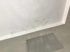 壹号娱乐-NG大舞台-相信品牌的实力