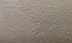 壹号娱乐-NG大舞台-相信品牌的实力