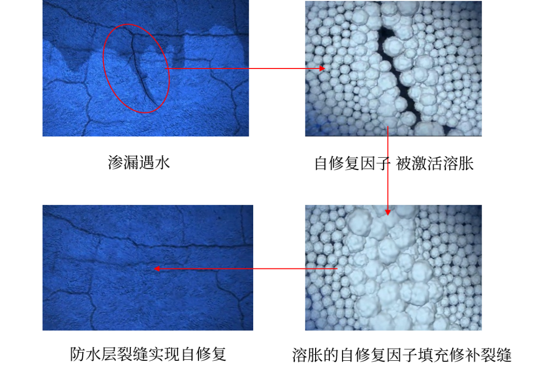壹号娱乐-NG大舞台-相信品牌的实力